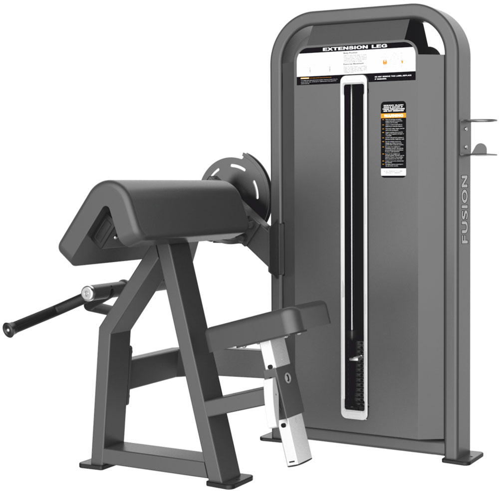 Camber Curl Fitness Equipments / Gym Strength Machines