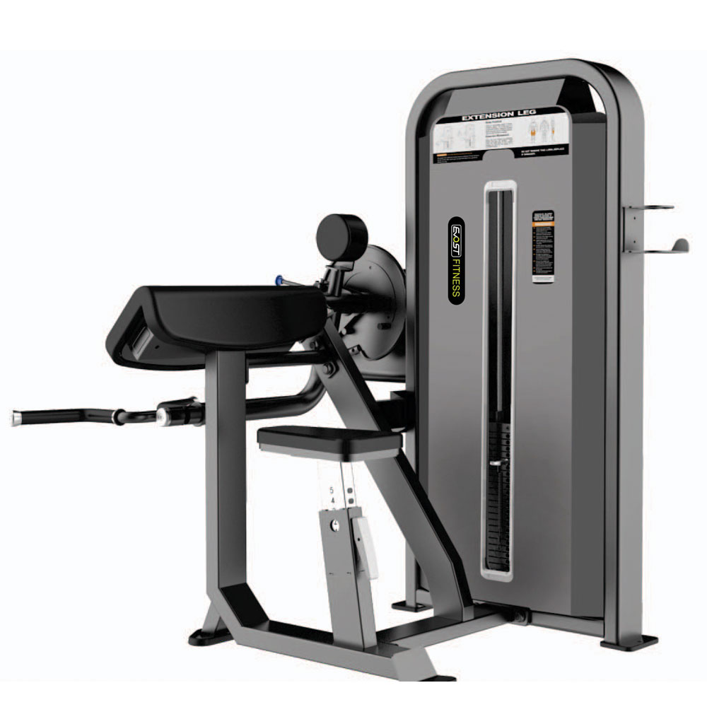 Camber Curl / Tricep Extension Fitness Equipments / Gym Strength Machines