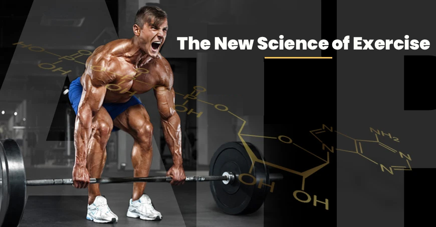 The New Science of Exercise