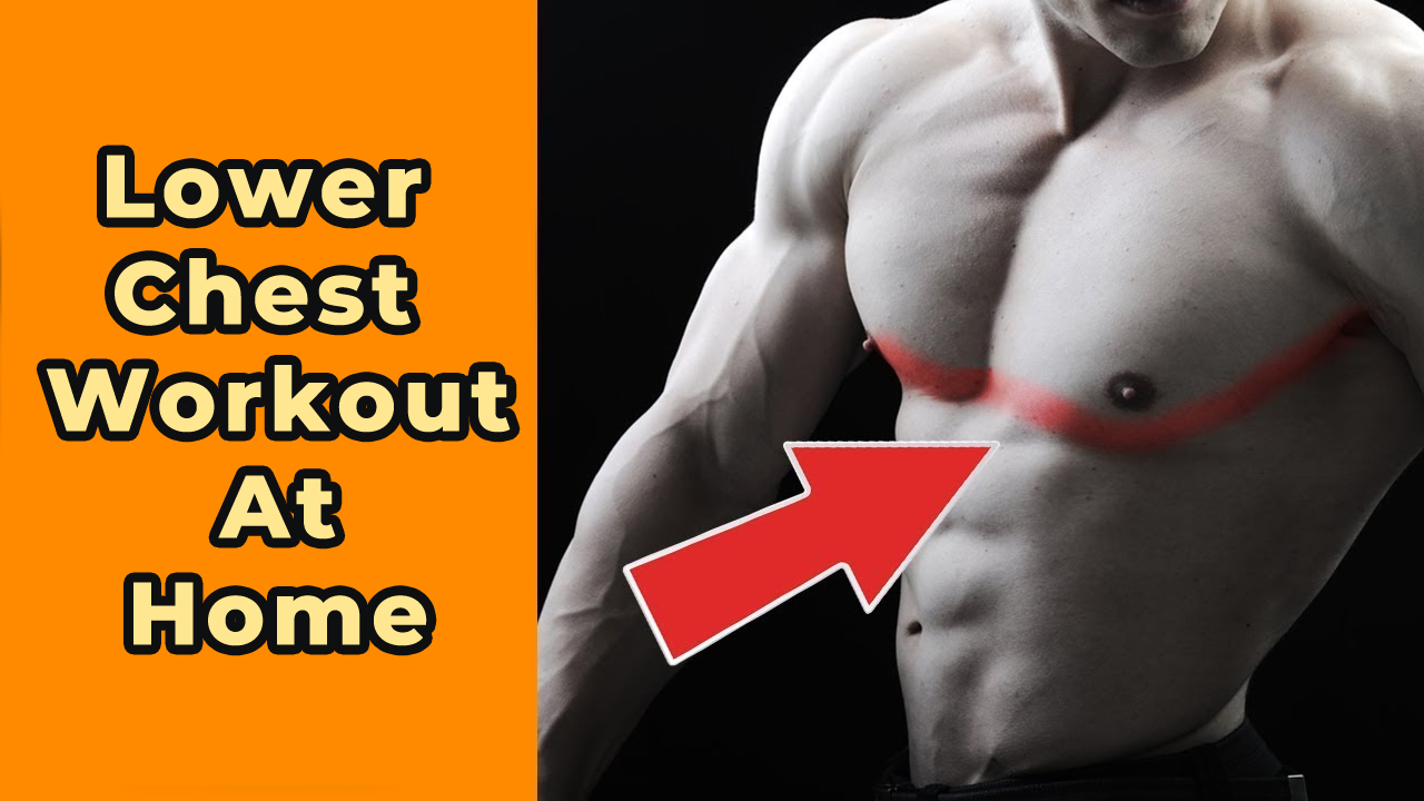Lower Chest Workout At Home, Workouts at fitking