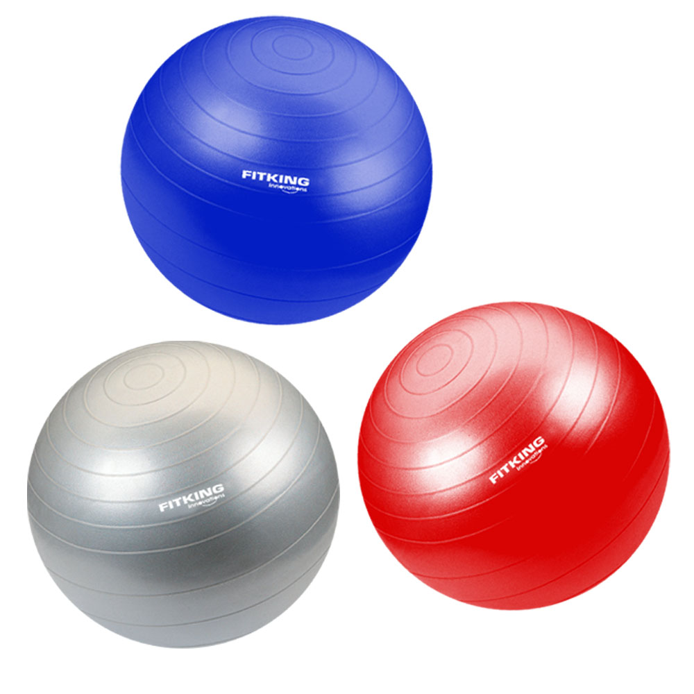 Top Best Gym Ball Gym Equipment Brand In India