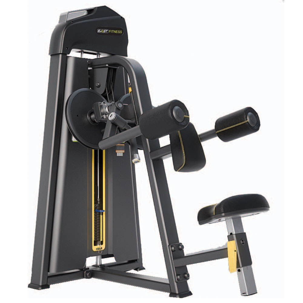 Lateral Raise E 1005
