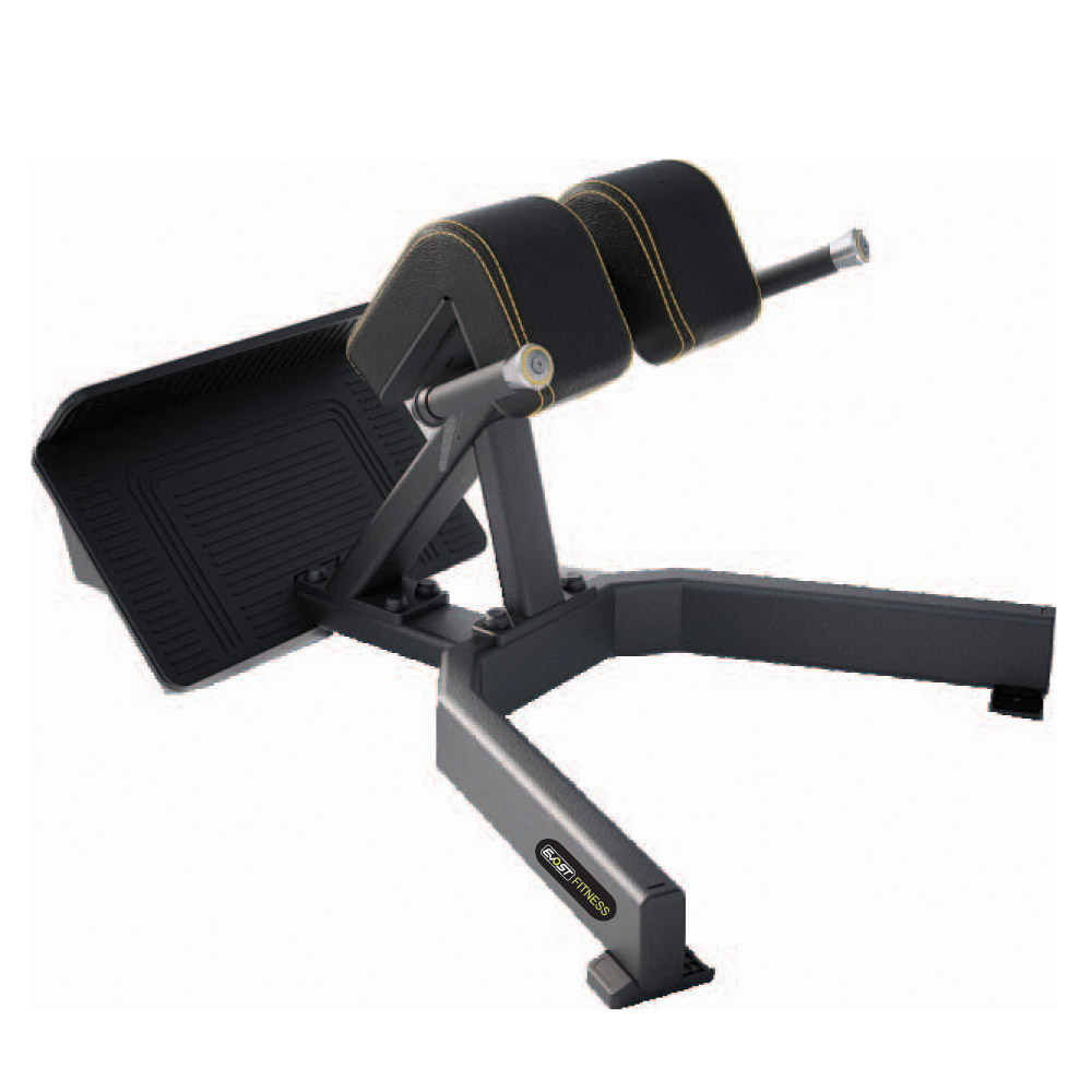 Back Extension E 1045