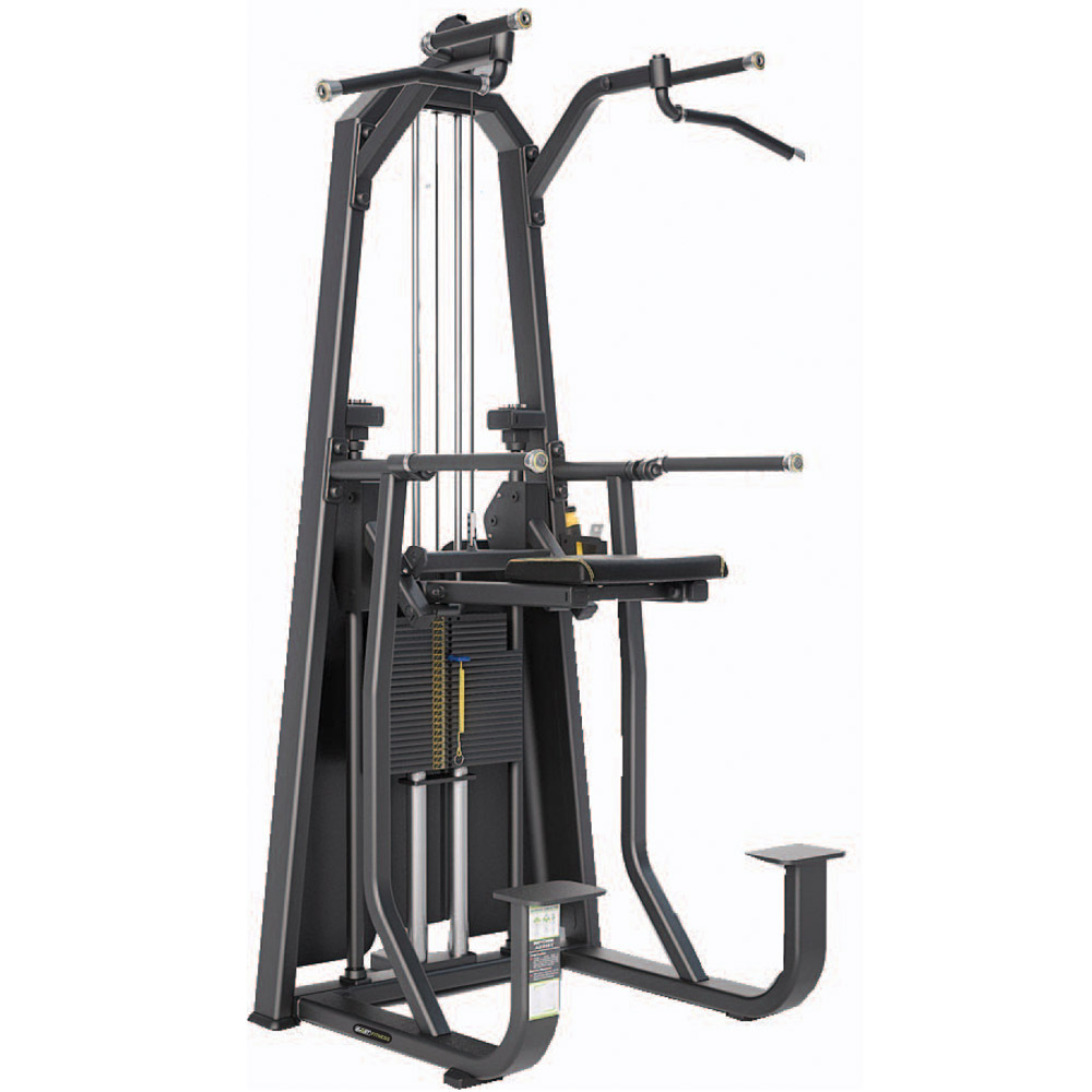 Dip / Chin Assist E 1009