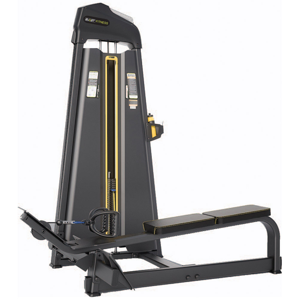 Long Pull / Low Row E-1033