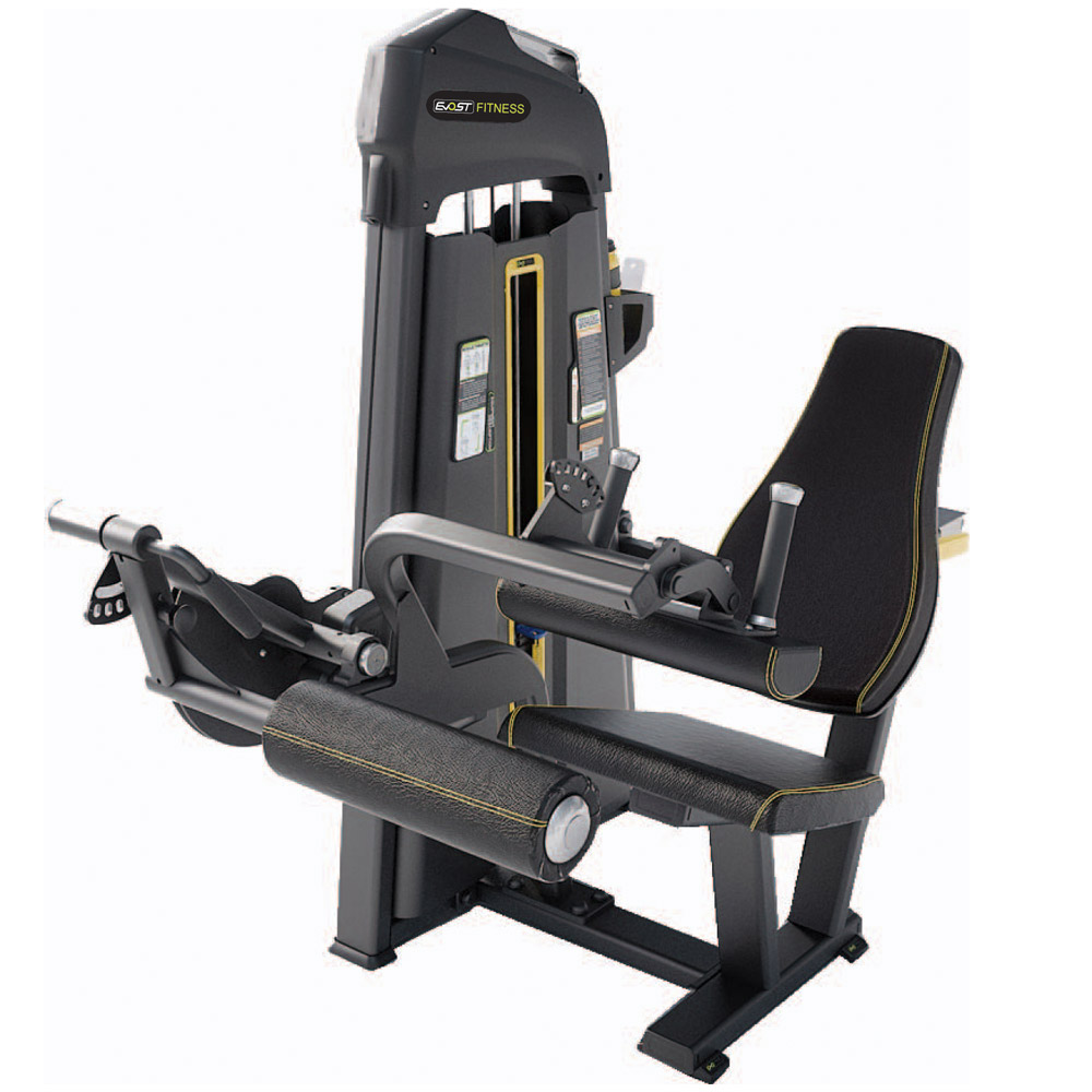 Seated Leg Curl E 1023