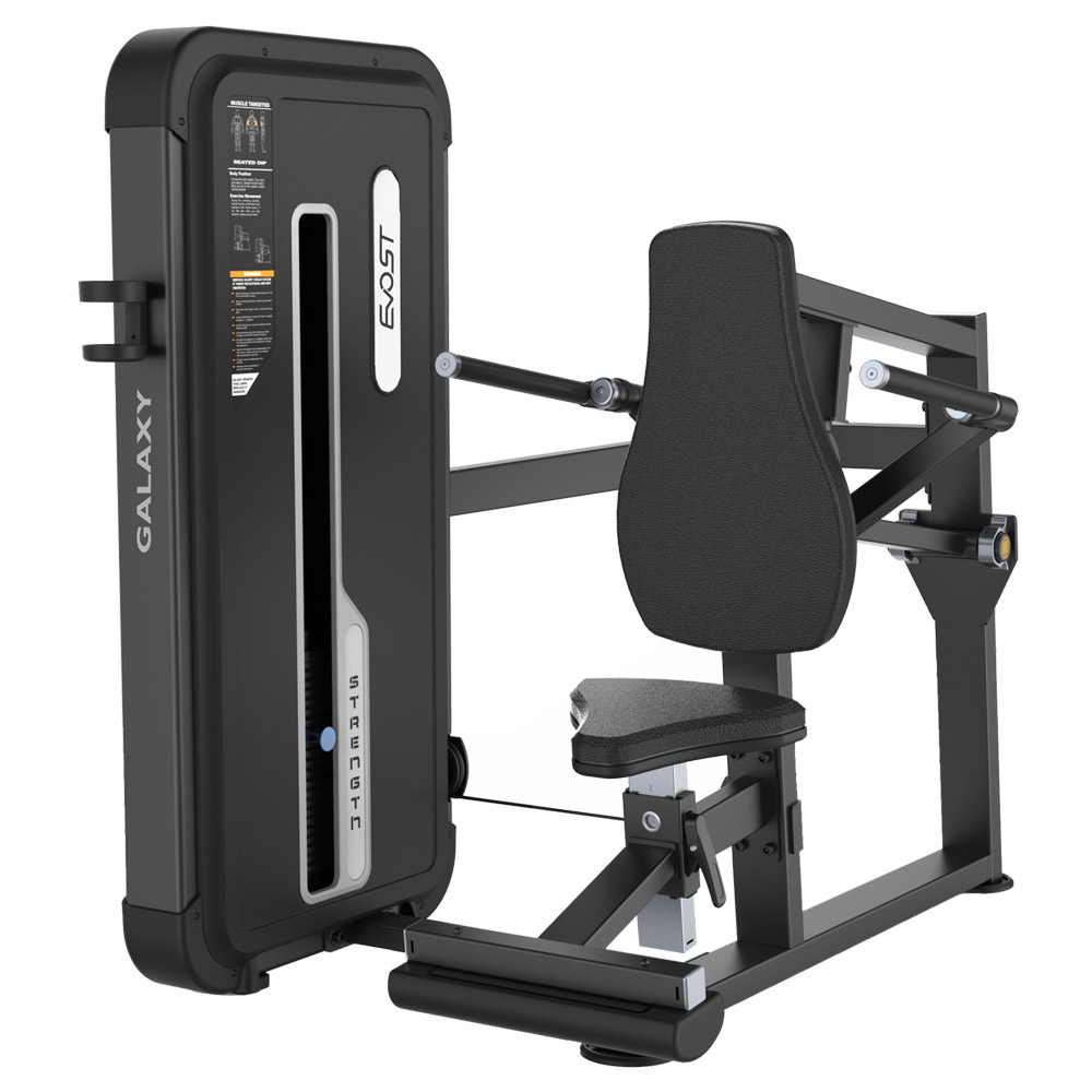 TRICEP DIP A 3026
