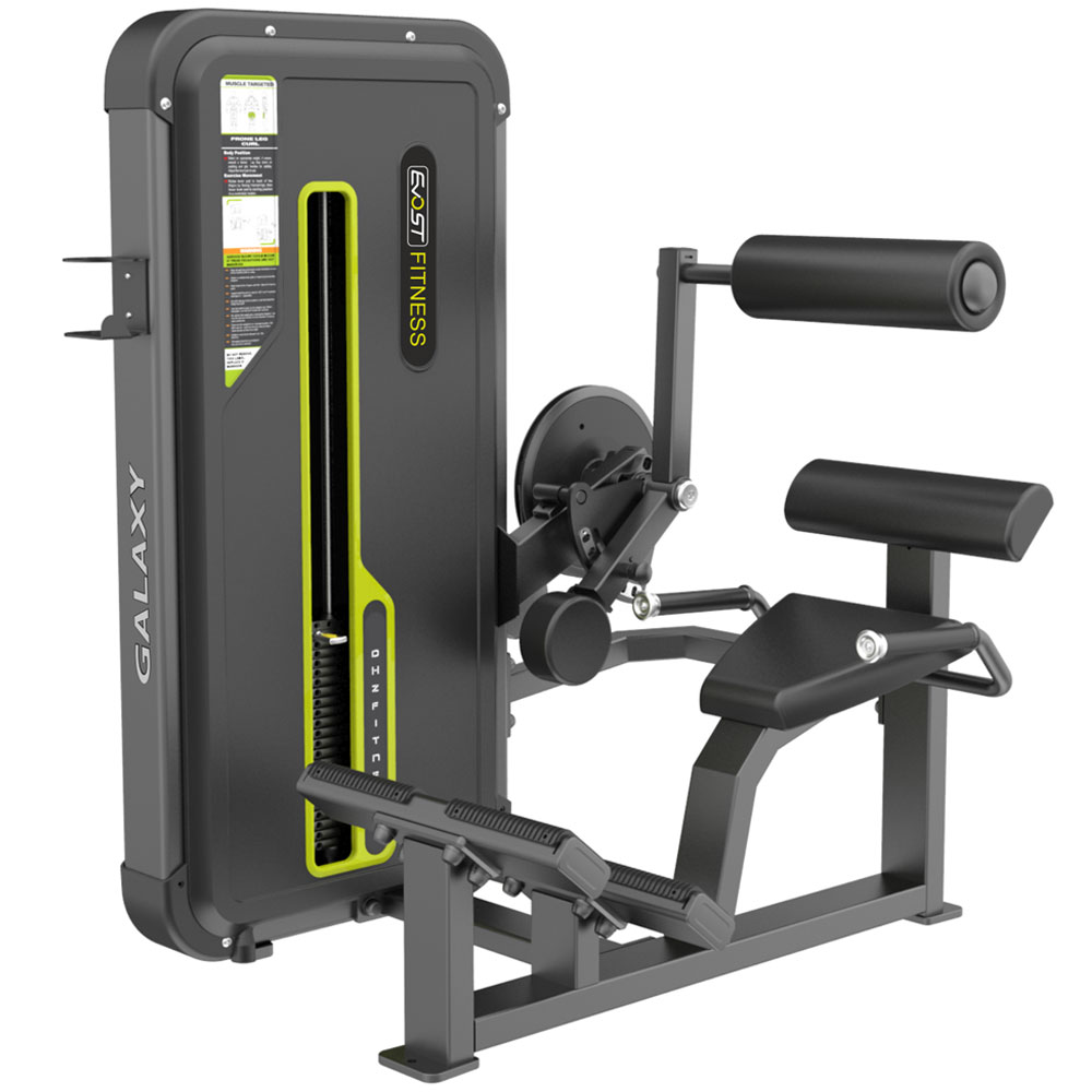 Back Extension A 3031