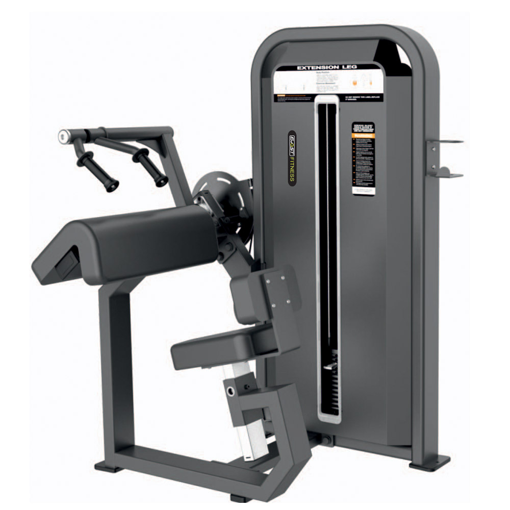 Tricep Extension F-5028