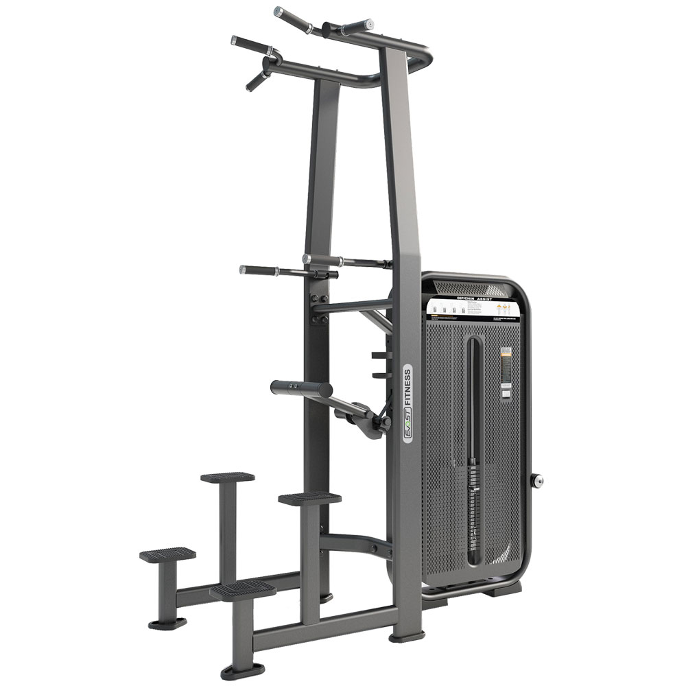 Dip/Chin Assist E 7009