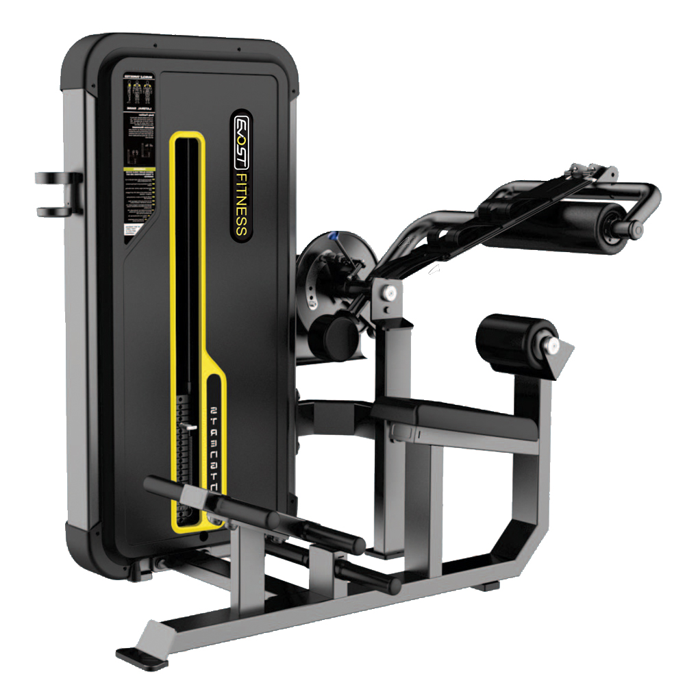 Abdominal / Back Extension A 3074