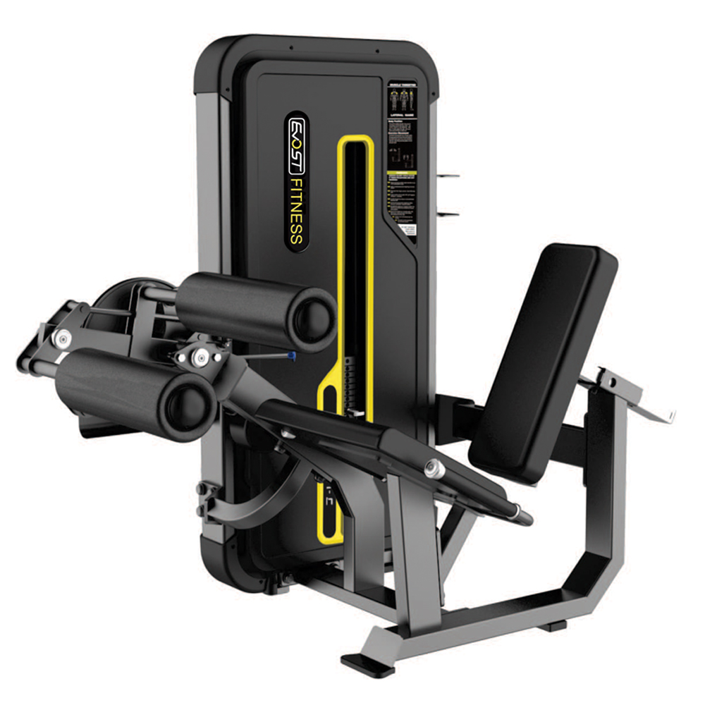 Leg Extension / Leg Curl A 3076