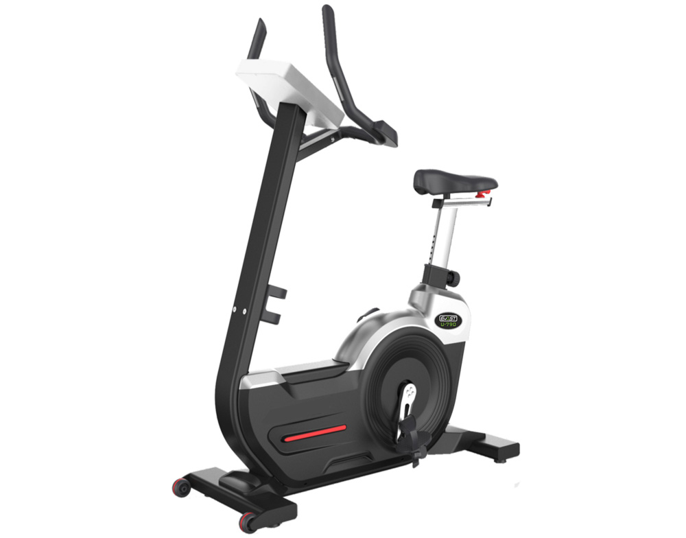 Commercial Upright Bike U-790