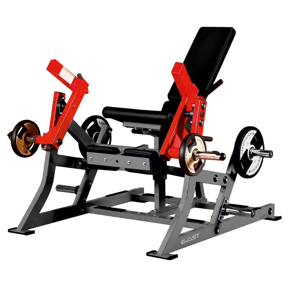 LEG EXTENSION SM 2024