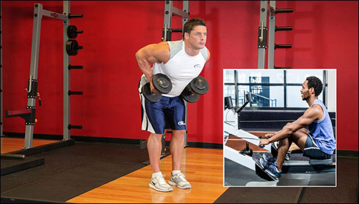 Seated Cable Row vs. Bent-Over Barbell Row