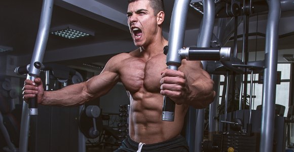 An Introduction to the Pec Deck Machine