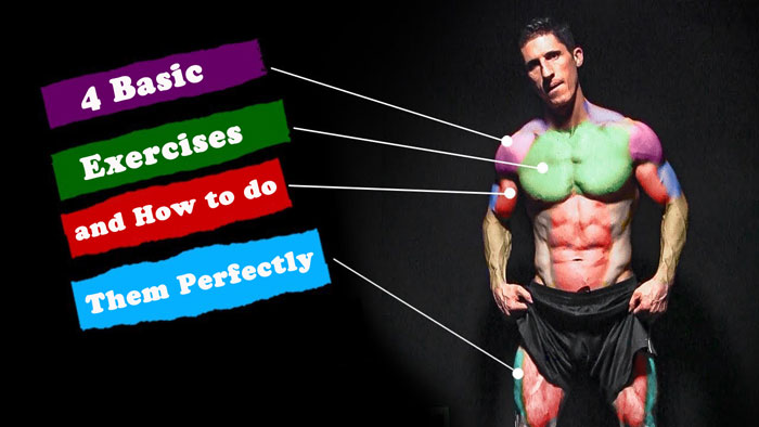4 Basic Exercises and How to do Them Perfectly