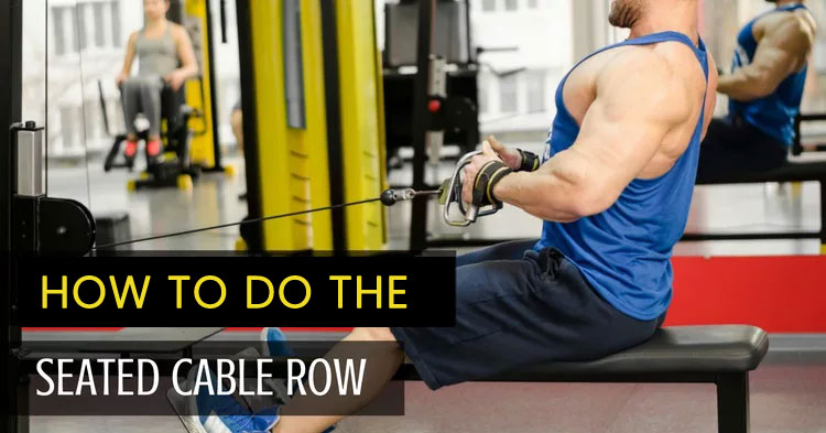How to Do the Seated Cable Row Proper Form, Variations, and Common Mistakes