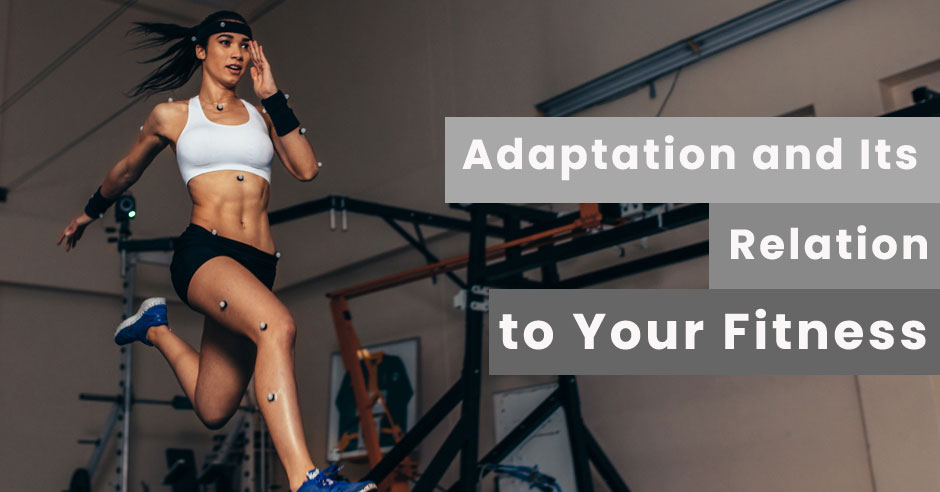 Adaptation and Its Relation to Your Fitness